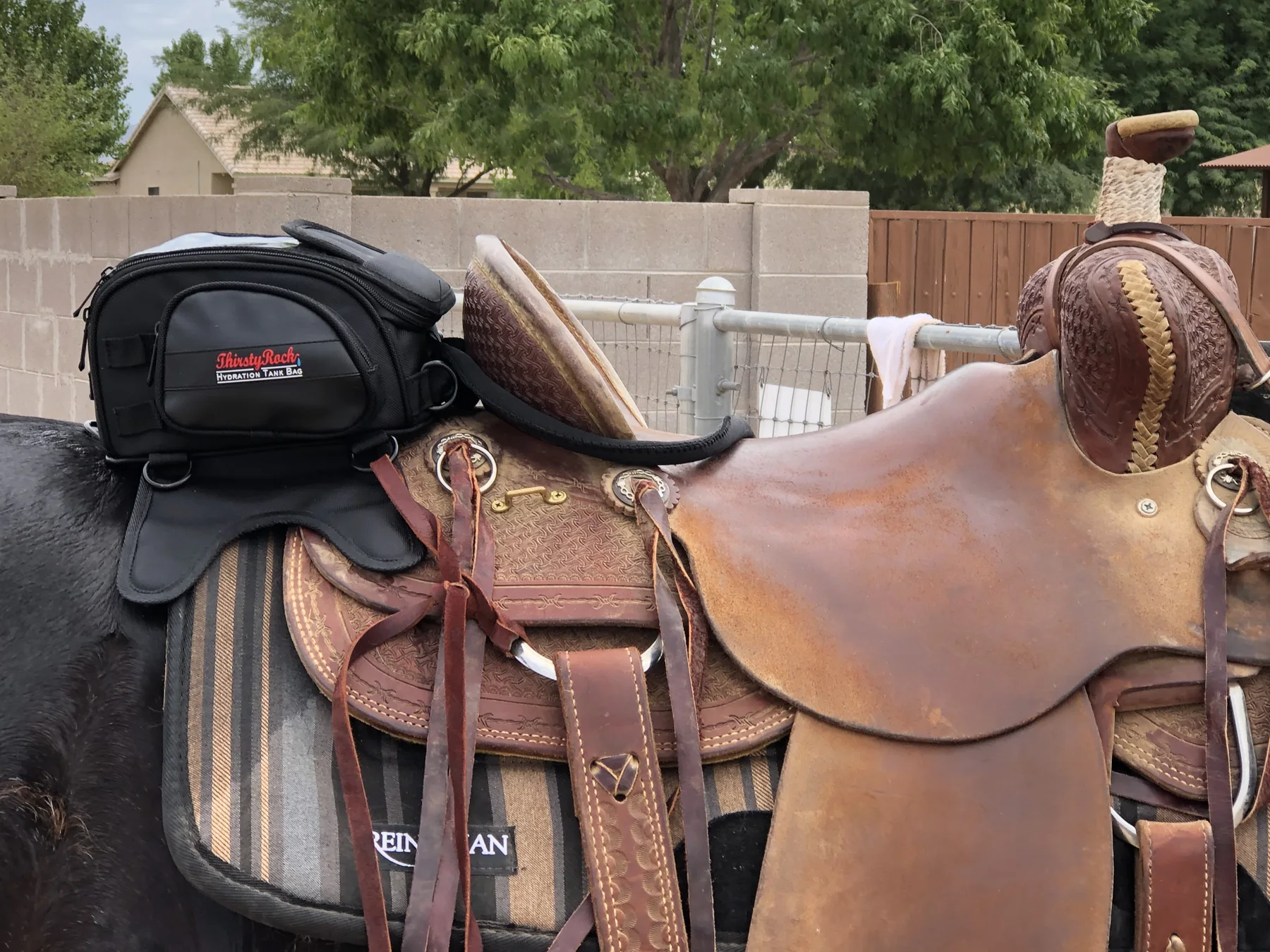 The Importance of Hydration for Horseback Riders and Cowboys